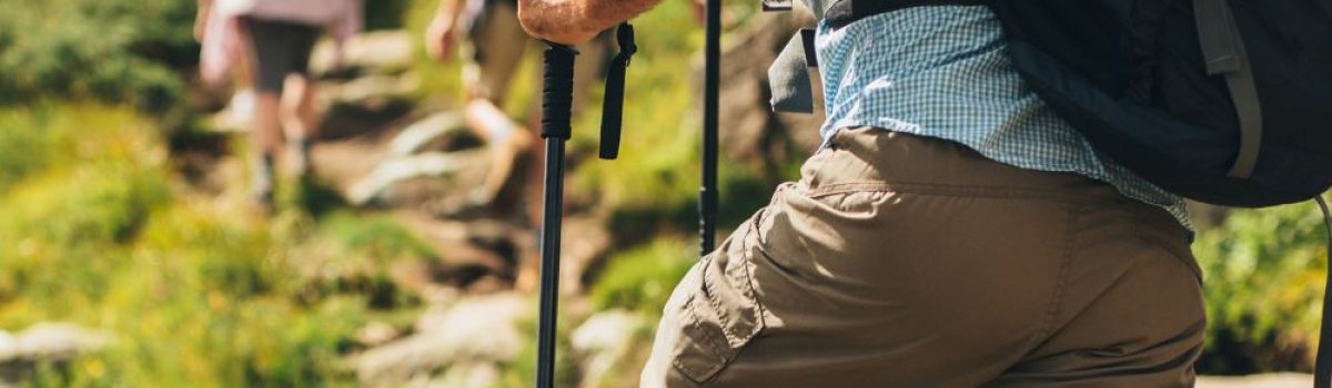 Exploring the wildest forests in Asia-Pacific