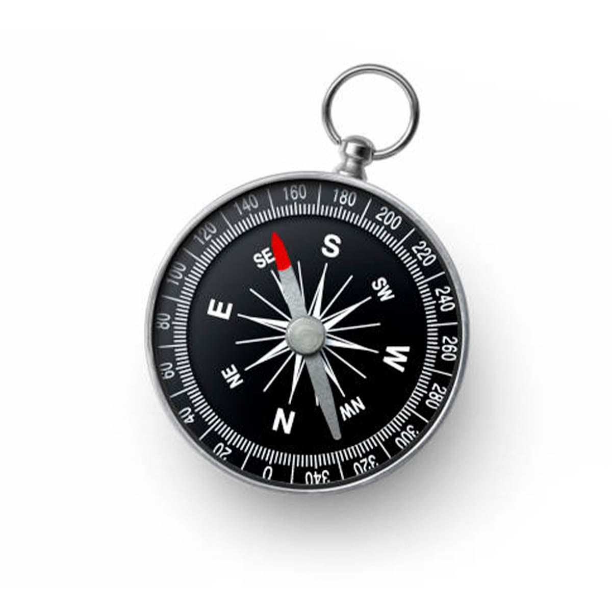 Magnetic Compass